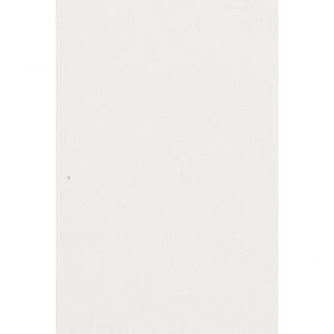 Amscan Obrus biely 137 x 274 cm