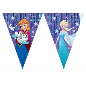 PartyDeco Banner Frozen Snowflakes