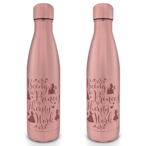 Pyramid Kovová fľaša na nápoj Disney Princess (Thirsty Work) 550 ml