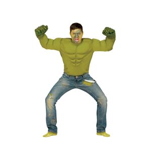 Guirca Pánsky kostým - Hulk Veľkosť - dospelý: L