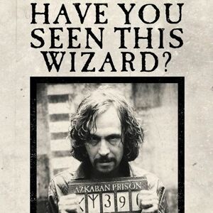 Minalima Pohľadnica Harry Potter 3D - Have You Seen This Wizard?