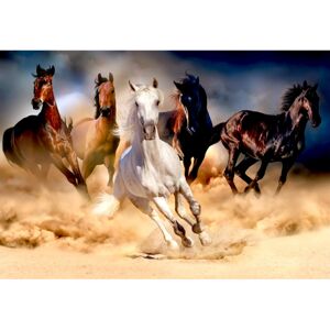 NO-1006299 NORIMPEX 5D Diamantová mozaika - Desert Horses