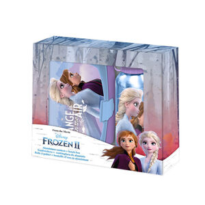 Euroswan Set box na desiatu + fľaša - Frozen