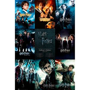 ABY style Plagát Harry Potter - Kolekcia 91,5 x 61 cm
