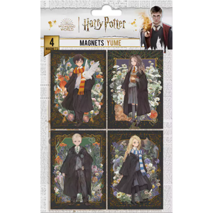 Distrineo Sada 4 magnetiek Harry Potter - Portréty