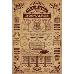 Pyramid Plagát Harry Potter - Quidditch in Hogwarts